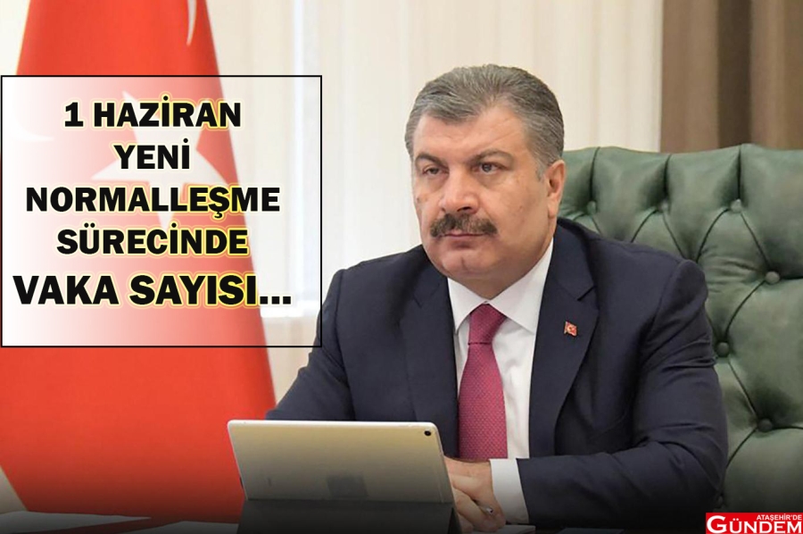 YENİ NORMALLEŞMEDE KORONAVİRÜS TABLOSU 1 HAZİRAN VAKA